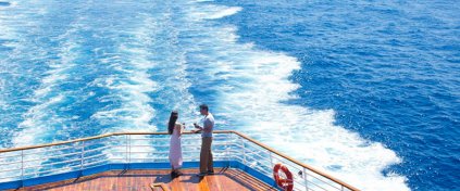 Momentum Trips