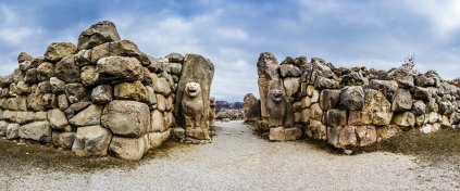 Momentum Trips