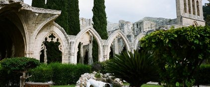 Momentum Trips