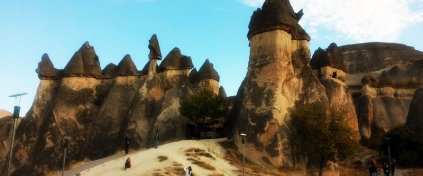 Momentum Trips