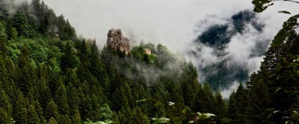 Momentum Trips