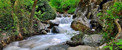 Momentum Trips