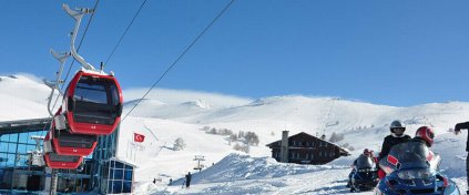 Momentum Trips