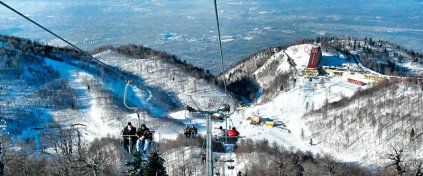 Momentum Trips