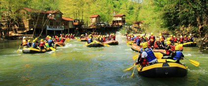 Momentum Trips