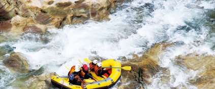 Momentum Trips