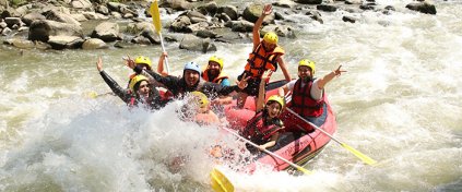 Momentum Trips