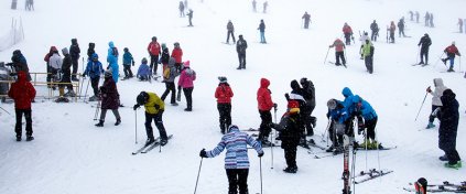 Momentum Trips
